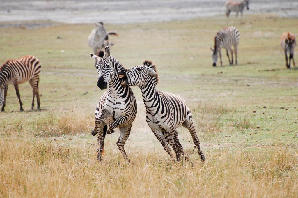 Photos New 48 - A Destination of its Own