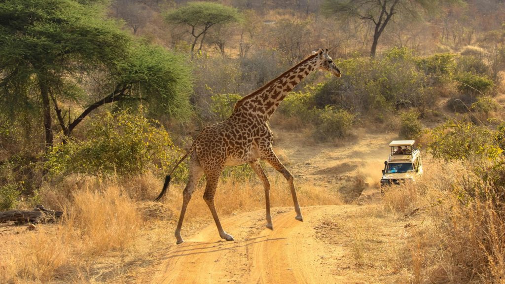 2-Day Arusha National Park & City Adventure Safari - Parrot Hotel Arusha